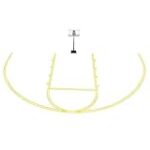 Análisis de las Mejores Plantillas de Baloncesto en Puerto Rico: Comparativa de Productos y Rendimiento en la Cancha